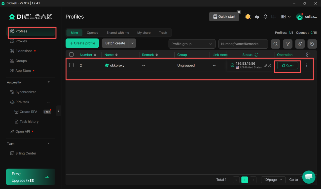 Open the DICloak browser profile after saving the OkkProxy connection