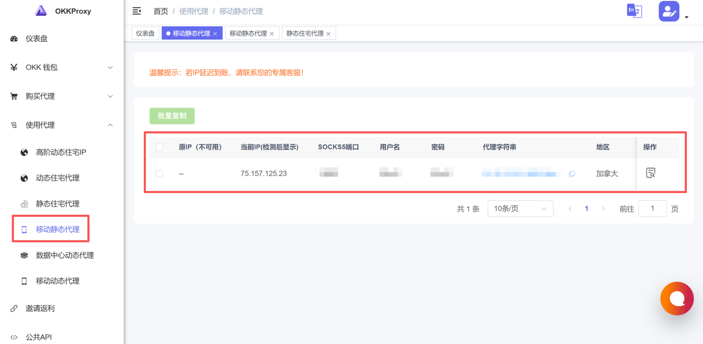 查看移动静态代理信息